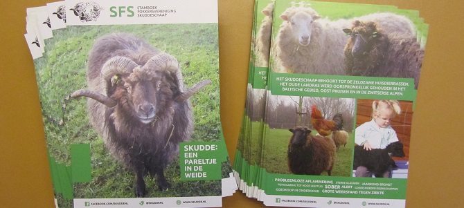 Nieuwe flyer SFS