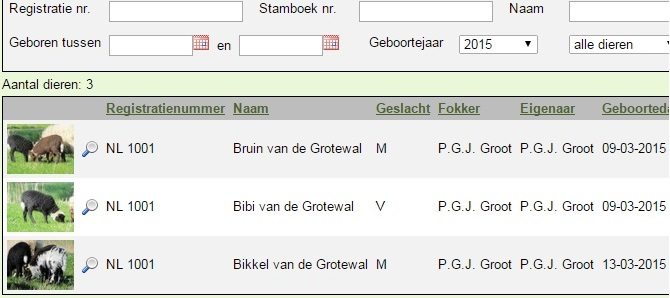 De eerste lammetjes van 2015 zijn geregistreerd!