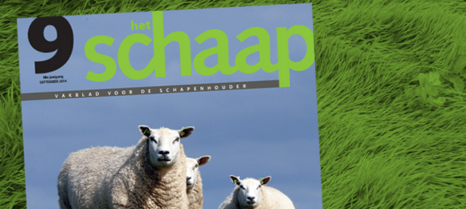 Opnieuw 20% korting op jaarabonnement Het Schaap Opnieuw 20% korting op jaarabonnement Het Schaap
