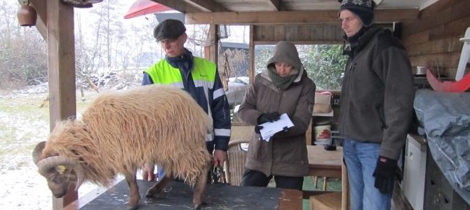 Vergaderen en keuren Vergaderen en keuren